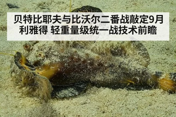 贝特比耶夫与比沃尔二番战敲定9月利雅得 轻重量级统一战技术前瞻